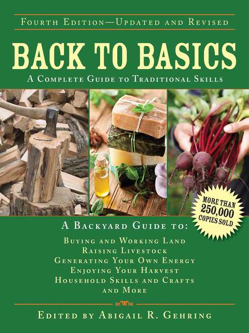Title details for Back to Basics by Abigail Gehring - Available